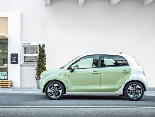 Μαύρη μπαταρία LFP της Ev γατών Σινικών Τειχών ORA της EV μηχανών Σινικών Τειχών 301405KM
