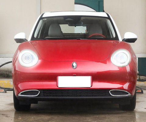 Μακριά καλή γάτα 401501KM Gwm ORA σειράς Drive γρήγορα που χρεώνει